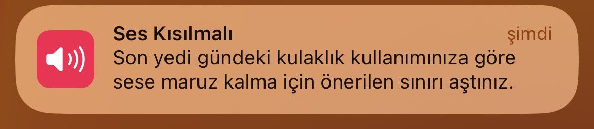 Ne zırvalıyosun sen ayol