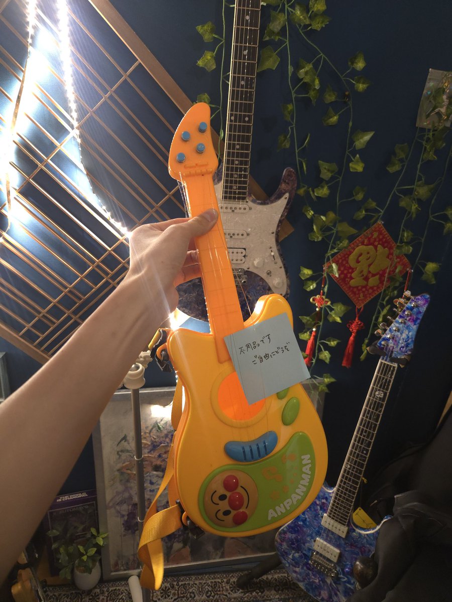 5年前に12弦ミニギターを買い、頼んでネコの絵を