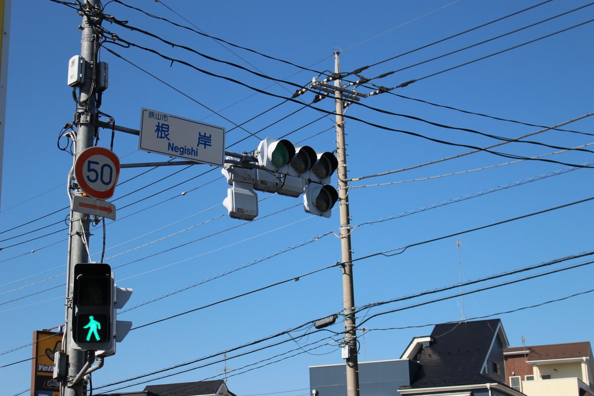 狭山市根岸にある誤認防止フード歩灯です。 #信号機