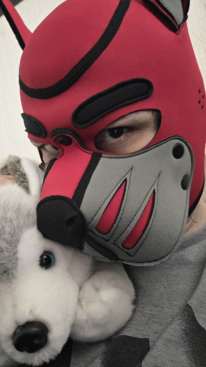 Red Wolf Pup ❤️🖤❤️ tweet media