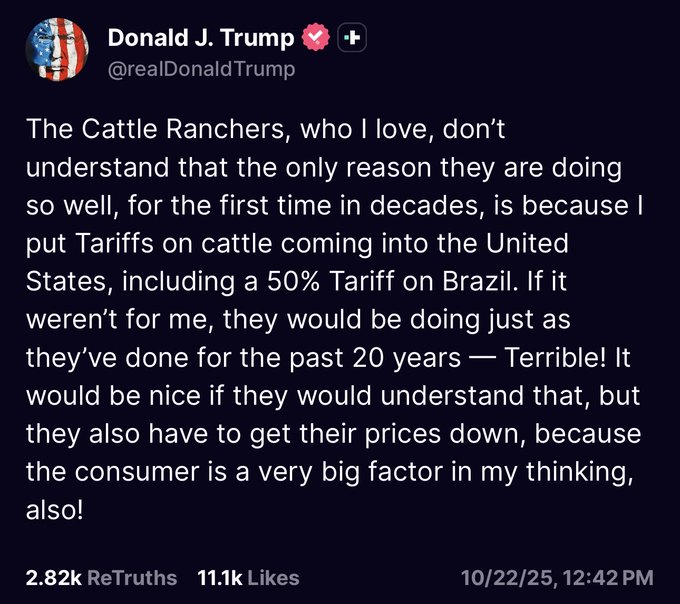 LA Blue Dot in GA 🌊🐸 tweet media