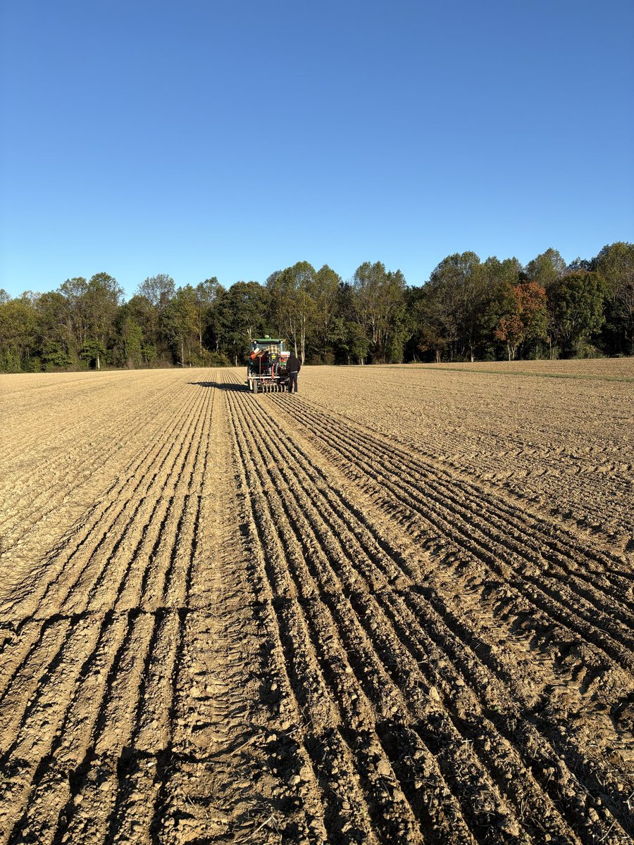 Beautiful fall morning for the 2026 wheat crop to go in the ground!