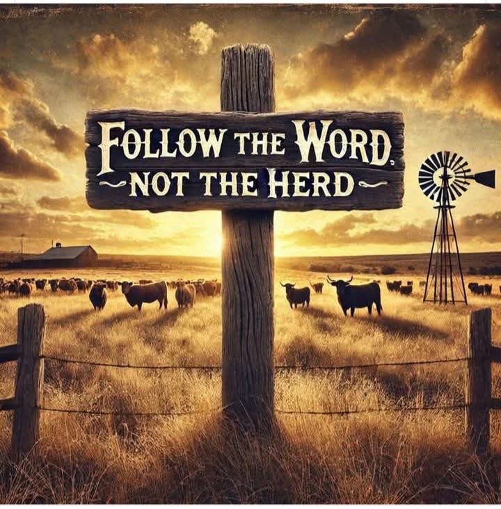 <a href="/PhillipDenton/">Fixing America 🇺🇸</a> <a href="/MrMeanMeme/">Mr Mean Meme</a> <a href="/NotHedyLamar/">Not Hedy Lamar</a> <a href="/tanyak46626/">Tanyak Raphael(✸,✸)</a> <a href="/HighwayGuy41/">HighwayGuy</a> <a href="/MysticArrow8/">🔥•𝓜𝔂𝓼𝓽𝓲𝓬 𝓐𝓻𝓻𝓸𝔀 ➶</a> <a href="/SLr8196/">Scottyp23!🇺🇸</a> <a href="/BeeAwake1/">Bee 🐝🌿</a> <a href="/libertyDAndrea/">Andrea Liberty 🍊🇺🇸🇺🇸🇺🇸</a> <a href="/BlueflowerNew22/">🦋✨Blueflower222✨🦋</a> It makes me happy when I can help Patriots connect! 😊 Everyone follow my friend, Mr. Phillip 🔜 <a href="/PhillipDenton/">Fixing America 🇺🇸</a> 

And if you’re not following
<a href="/Survivingcolo/">Colorado Kujo</a> 
<a href="/helo12122/">MAGA/Name is TJ</a>
<a href="/Spooks/">Rocket_Medic</a> 
<a href="/flowergoddess59/">Flowergoddess59</a>
<a href="/northwoods8000/">Teri/Save America 🇺🇸🇨🇱🙏🇺🇸 God Won!!</a>
<a href="/AmericanFireman/">Fireman Sam</a> 
<a href="/FireAmeric4547/">🇺🇸Mrs. Patriot🇺🇸</a> 
<a href="/XxStrikerxXKTL/">XxStrikerxX</a> 
You should be🇺🇸🫶