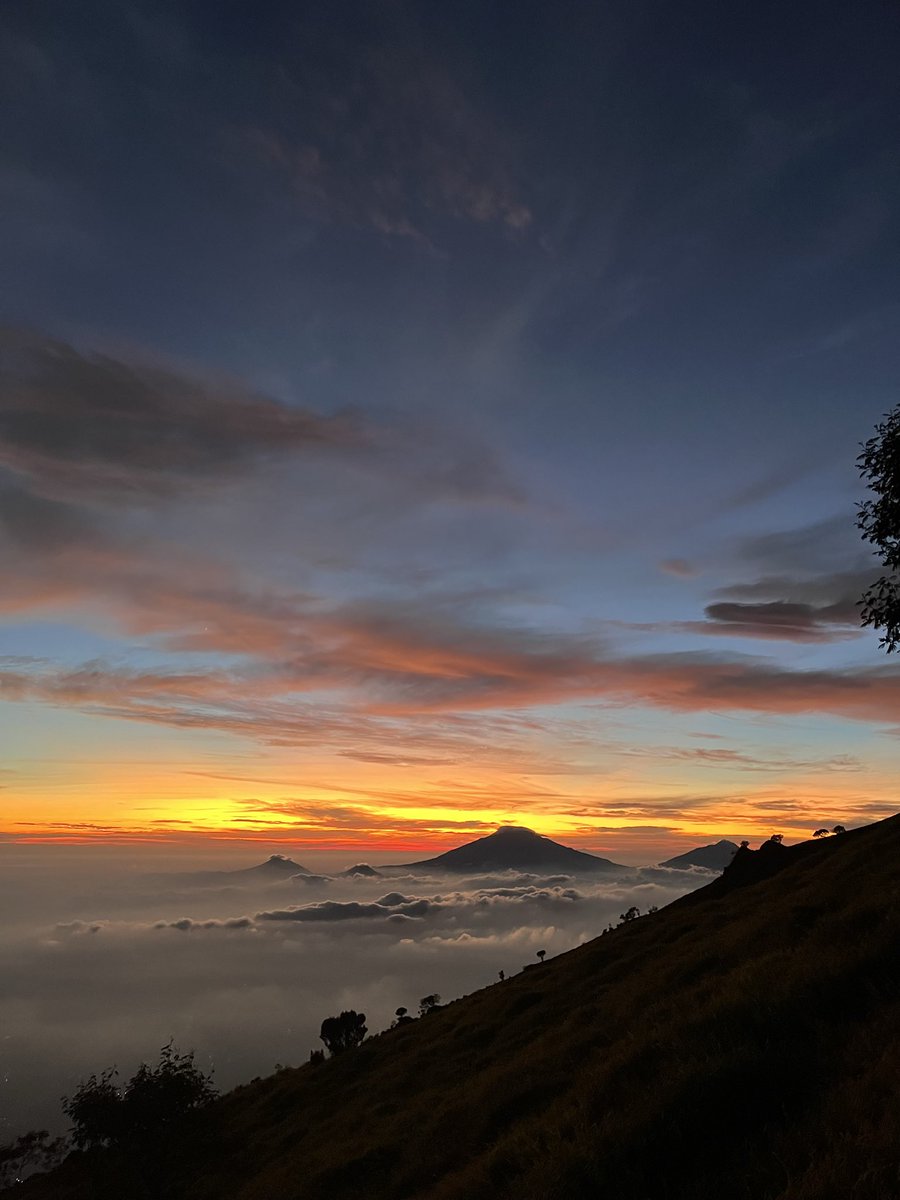 RianRag3's tweet image. 