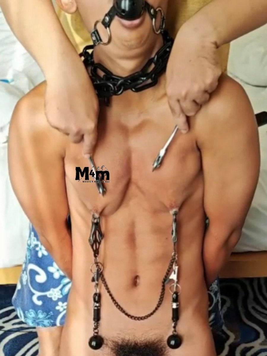 Master4Maso tweet media