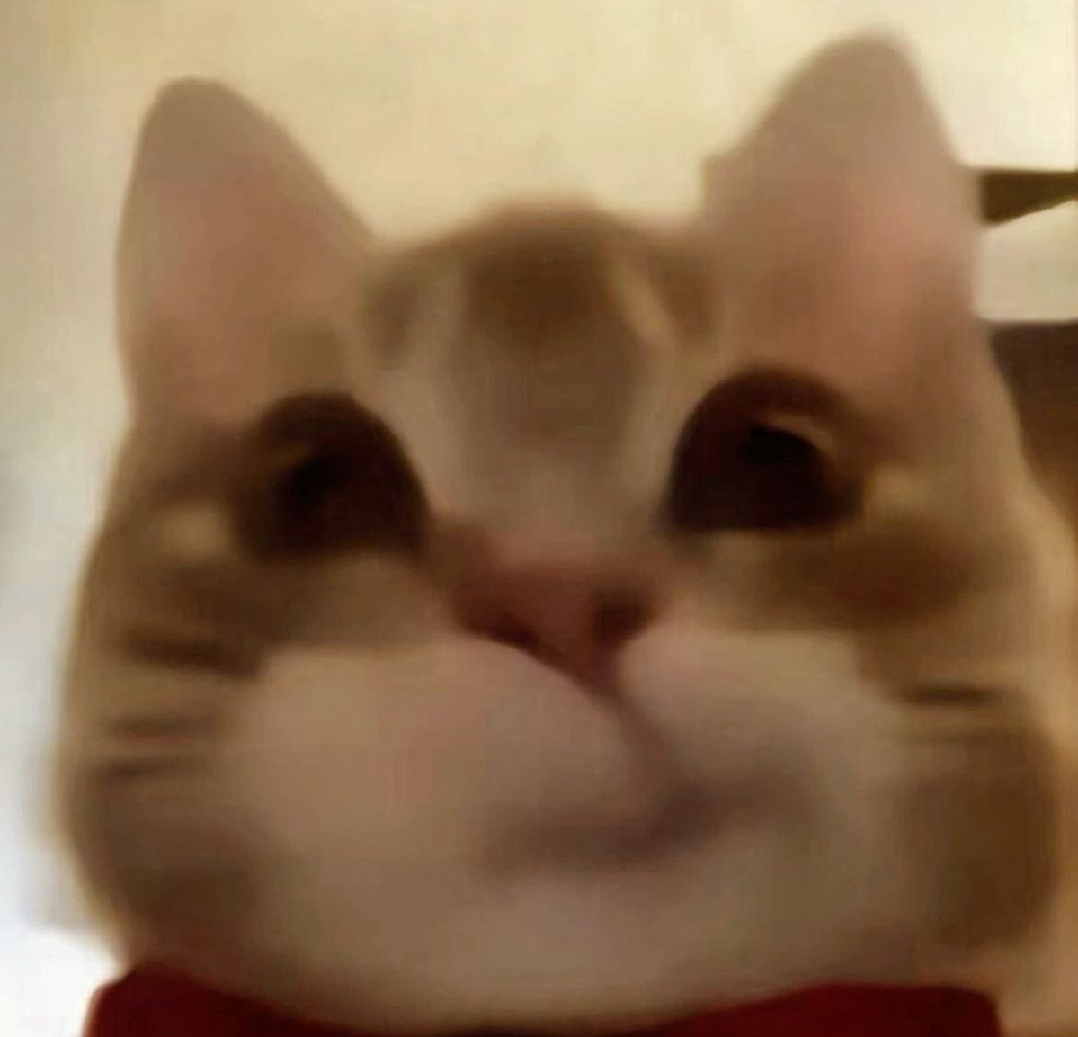 the cuteness aggression 🥹