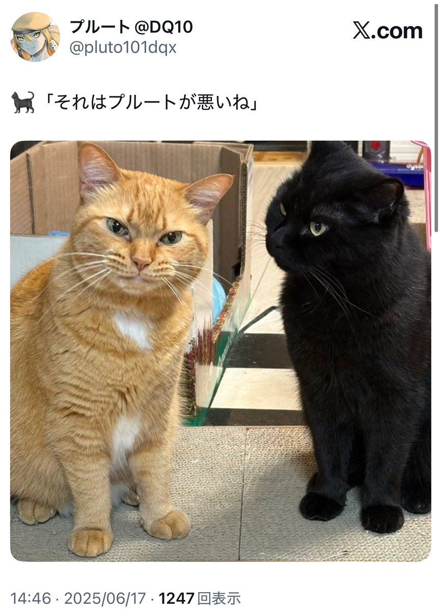 プルート@DQ10 tweet media