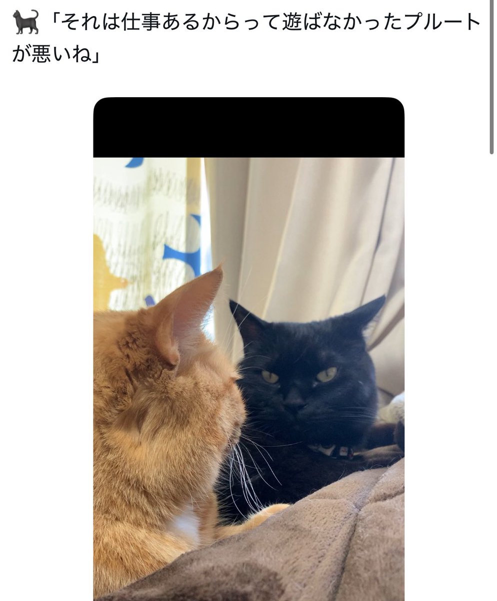 プルート@DQ10 tweet media