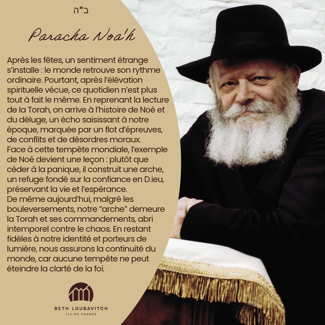 Beth Loubavitch (@bethloubavitch) on Twitter photo 