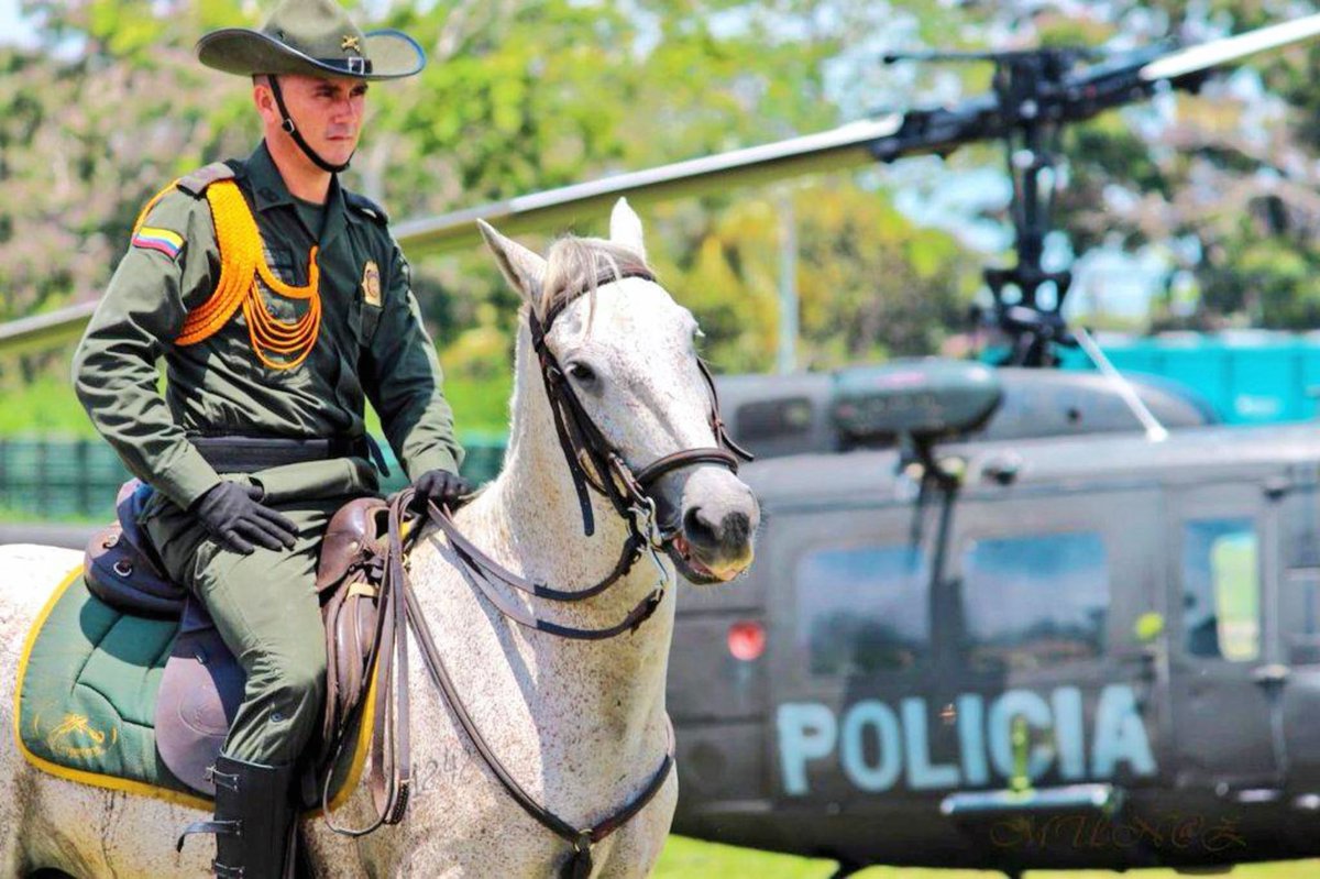 PoliciaStander's tweet photo. 🇨🇴👮‍♂️ En cada rincón de Santander, nuestros policías de @CarabinerosCol actúan con orgullo, protegiendo la vida, el campo y la tranquilidad de todos.
💚 Honor, valor y compromiso por Colombia.
#DiosYPatria https://t.co/6polx5JWml