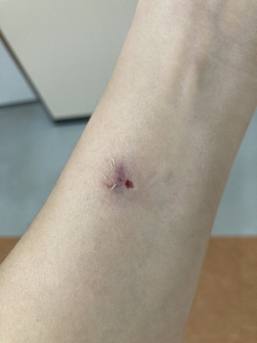 kazuki (@kazuki809011) / Posts / X