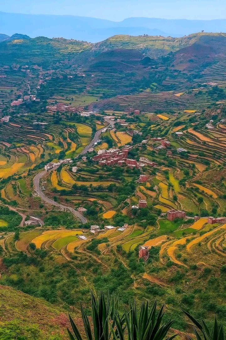 صور من الريف اليمني