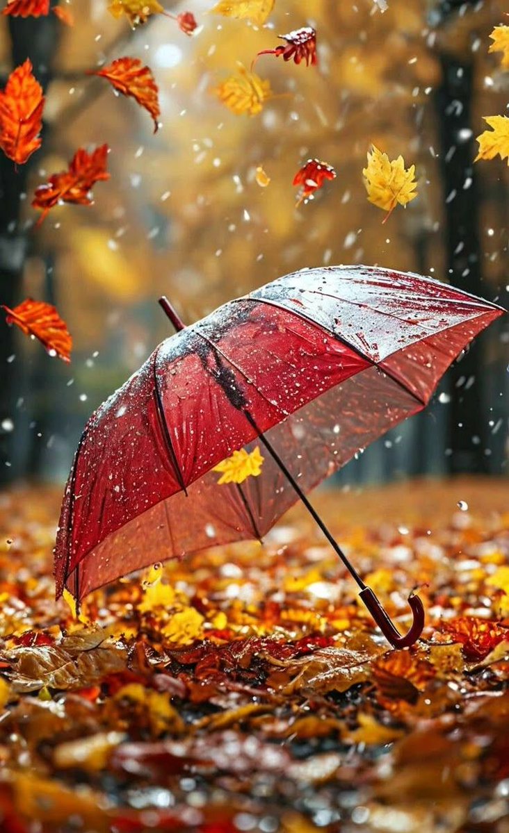 Buon pomeriggio ☺️ 
Oggi piove veramente ☔️🌧🍁🍂