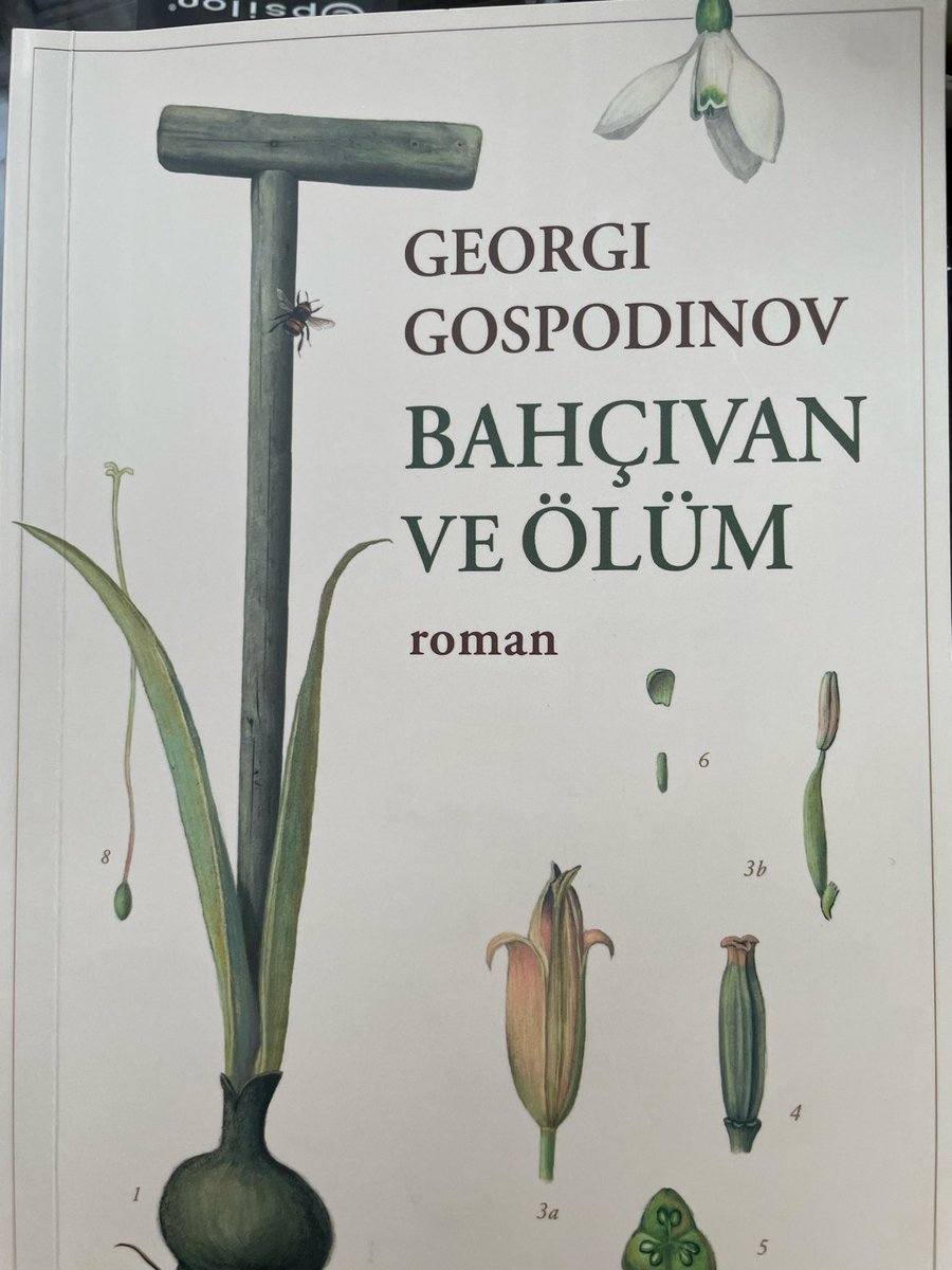 ayseyel2ac's tweet photo. Bambaşka bir coğrafyada bambaşka zamanlarda 
Aynı hisler 
Benim aklımdan birebir geçirdiğim kelimeler

Ölüm latince gelir !

Bahçıvan Ve Ölüm https://t.co/PyJHDFeFEe