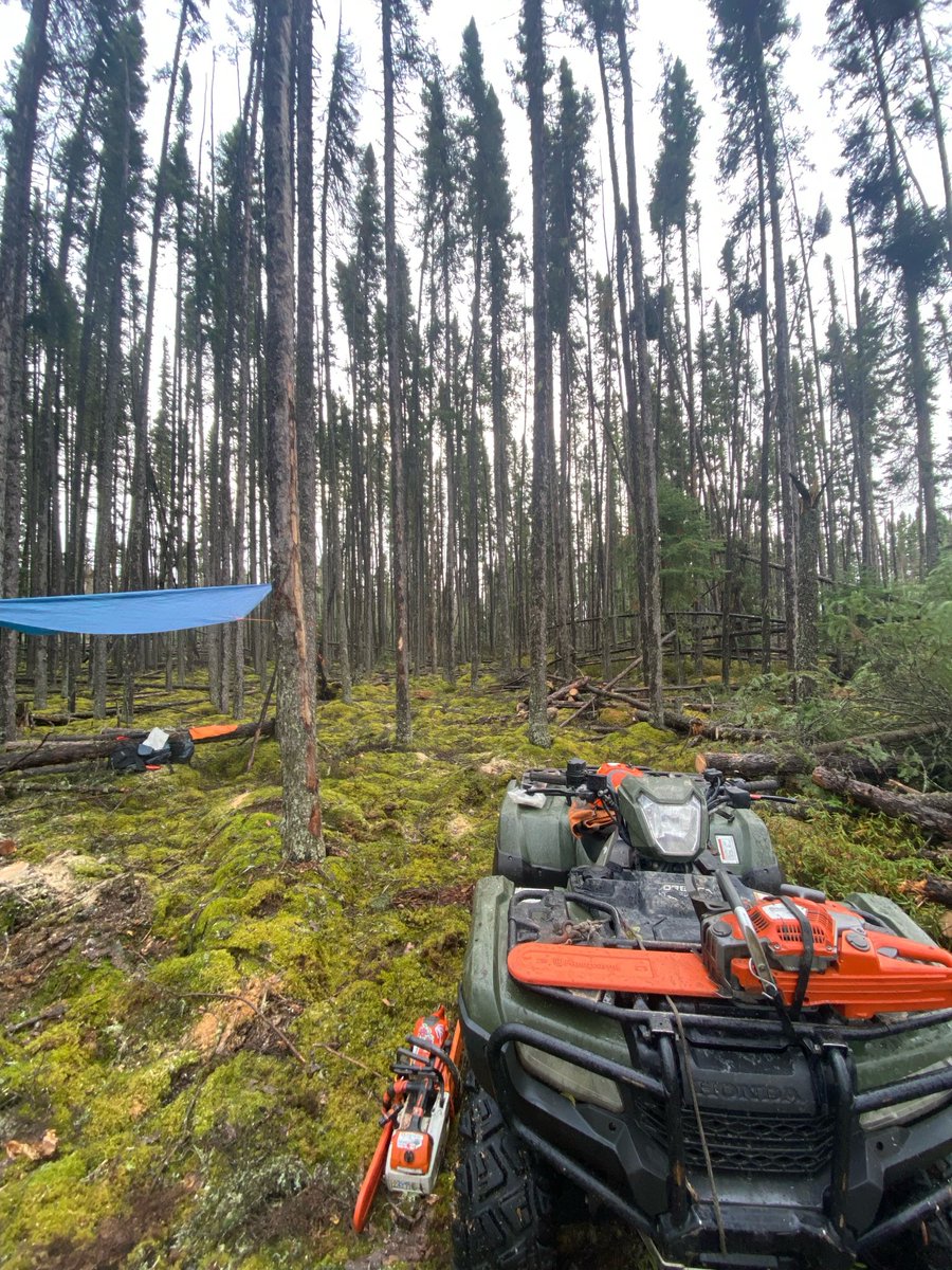 ExsicsE's tweet image. Our certified chainsaw teams tackle line cutting, ROW clearing, brushing, &amp;amp; hazardous tree removal.
Before/after: Fresh Heli/Drill pad in Northern Ontario! 🌲➡️✨