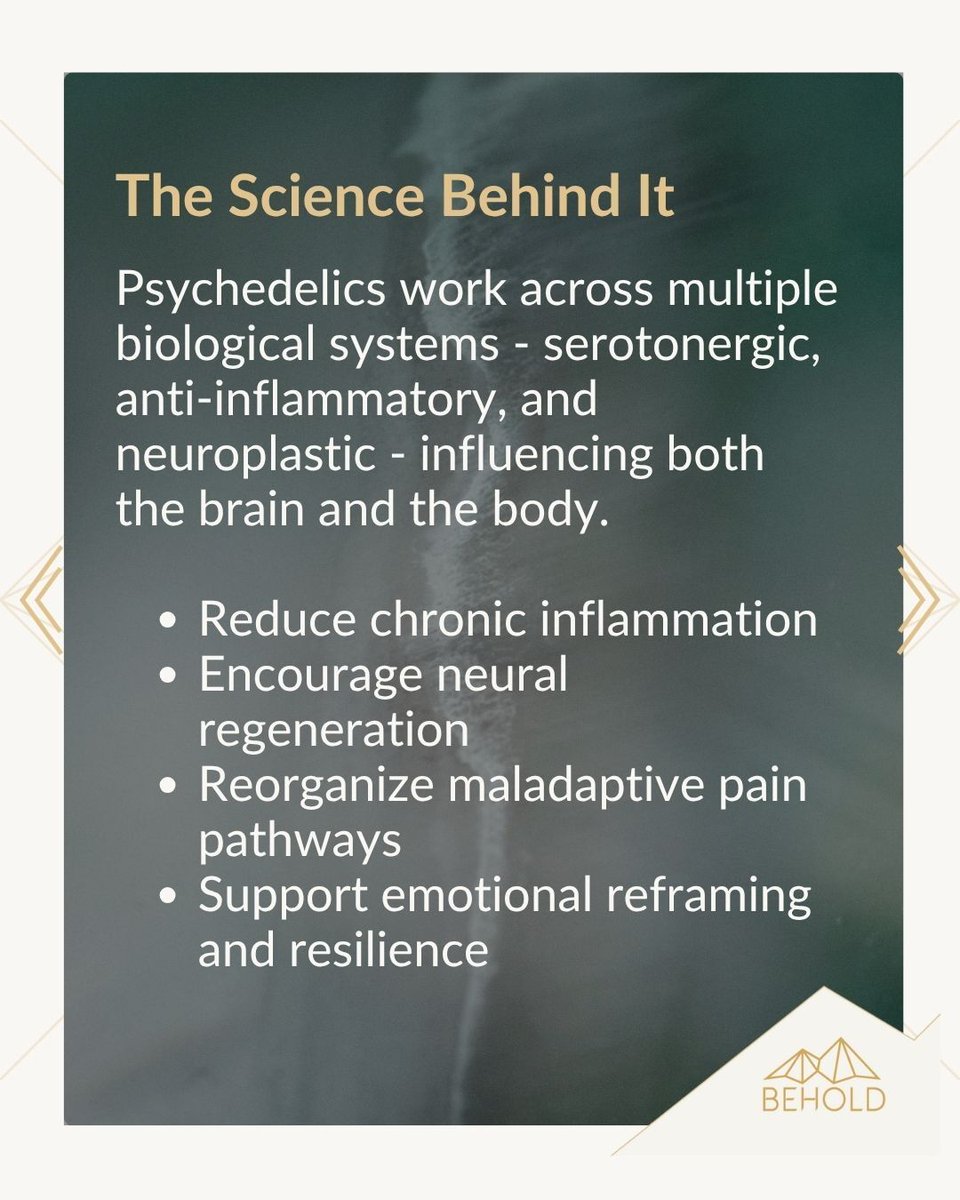 BeholdRetreats's tweet image. Healing has never been one-dimensional.

Insights from the @MAPS Bulletin show how psychedelics may bridge the gap between emotional and physical healing — easing pain, reducing inflammation, and restoring balance across the whole system.

#PsychedelicHealing #MindBodySpirit