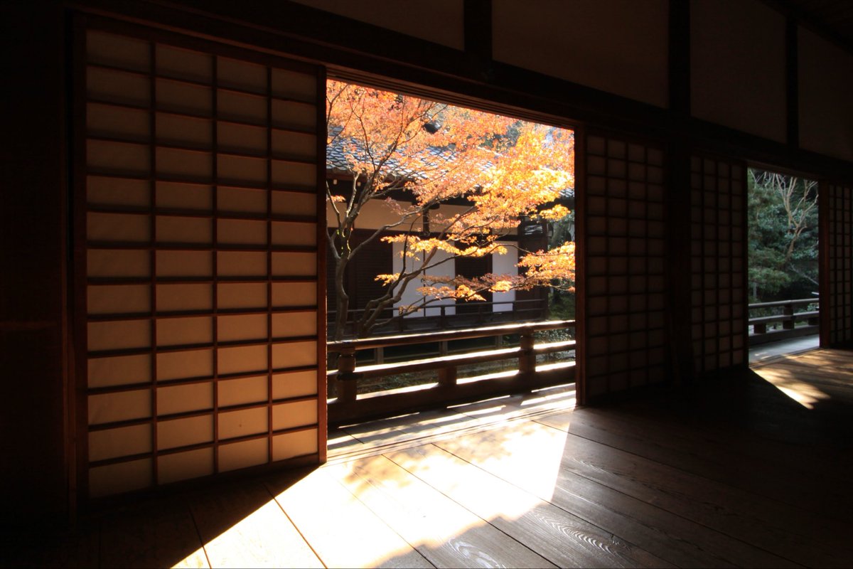 #これを見た人はオレンジが入ってる画像を貼れ
青蓮院