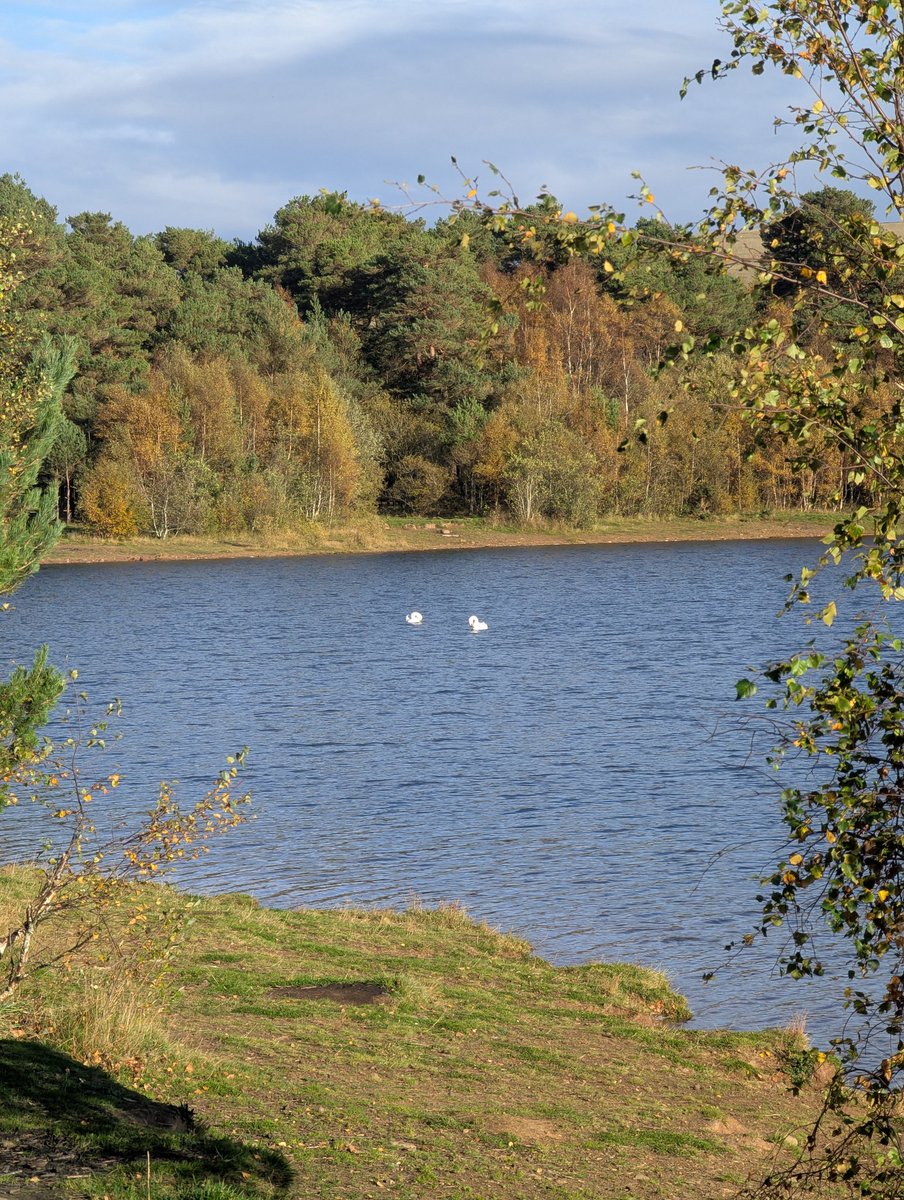 Seaveil (NSFW) tweet media