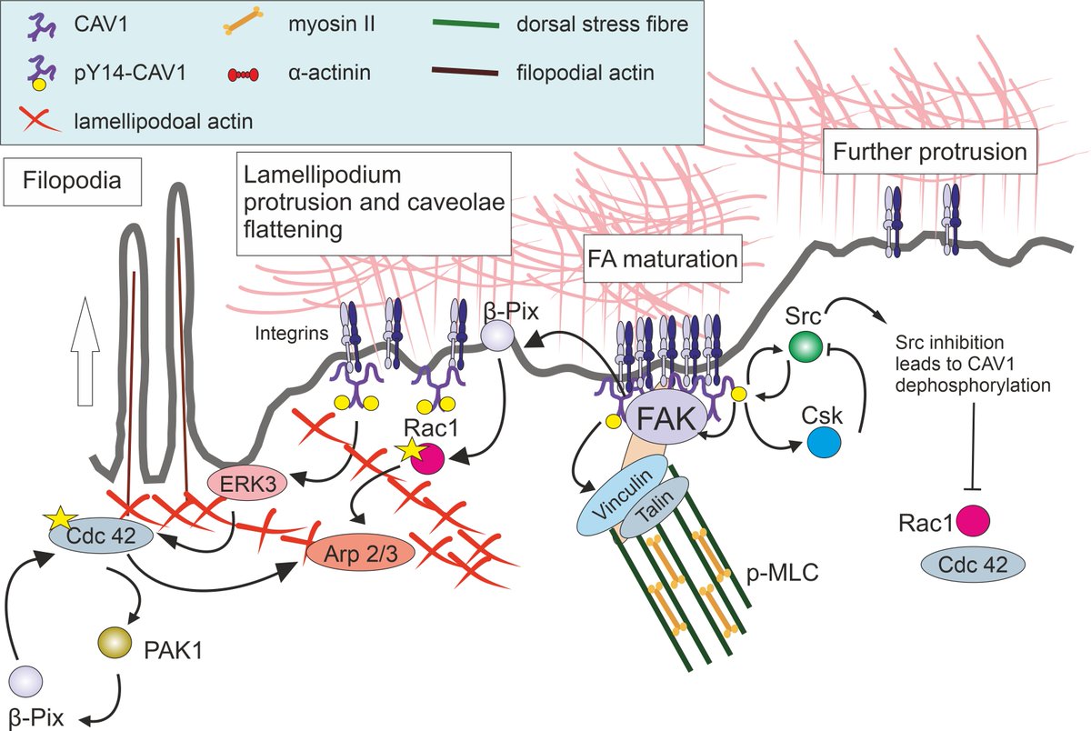 Michal Masarik tweet media