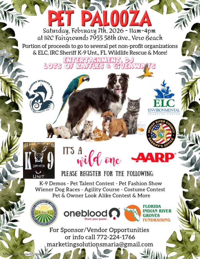 Eventchica's tweet photo. Invitation - https://t.co/QCo5qRhj93 https://t.co/BH6TxRSOtZ