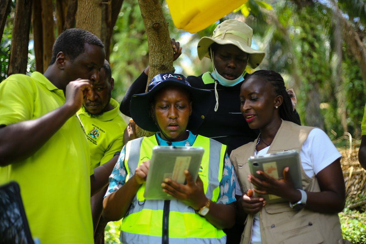 FAOUganda's tweet photo. Strengthening pest🐛 surveillance is key to protecting Uganda’s agriculture. 

@FAO and @ippcnews are building Uganda's capacity in digital pest monitoring to enhance preparedness and response.

🔗 Read more: https://t.co/7CpXnRio70 https://t.co/wQXzsLQsDO