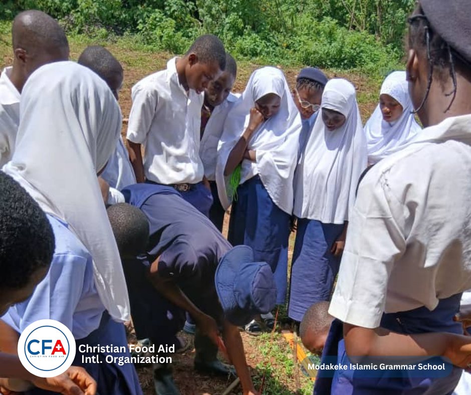 CFA_Intl's tweet image. The ongoing SAEE Impact Competition is heating up, with students showcasing innovative solutions to real-world agricultural challenges. 

Let us celebrate their creativity, dedication, and passion for making a difference

 #SAEEProject #ChristianFoodAid #SamaritansPurse