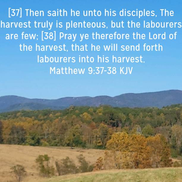 Matthew 9:37-38 KJV
[37] Then saith he unto his disciples, The harvest truly is plenteous, but the labourers are few; [38] Pray ye therefore the Lord of the harvest, that he will send forth labourers into his harvest.

bible.com/bible/1/mat.9.…