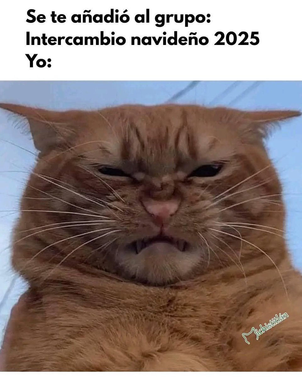 Ya, salieron con sus mxmxdxs!!! 😾😾🐾🐾