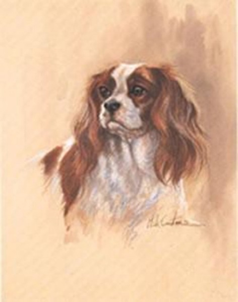 CAVALIERS IN ART: “Cavalier King Charles (Head &amp; Shoulders)”, by Mick Cawston (British, 1959-2006).
#cavalierhealth #cavaliersinart #thedoginart
