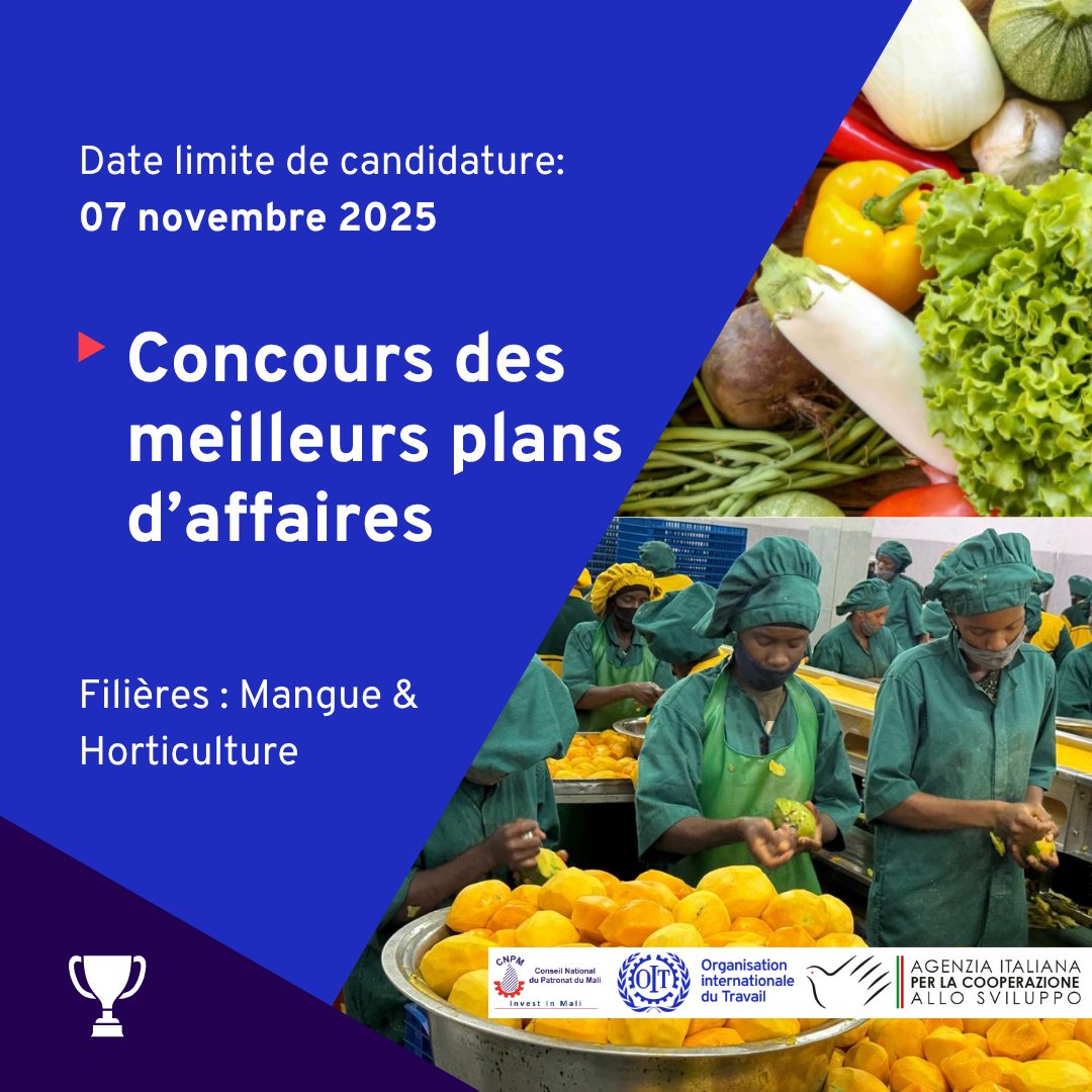 #OitMali

Vous avez un projet dans la mangue ou l’horticulture au 🇲🇱 ? 🍋🌿

Participez au Concours des meilleurs plans d’affaires du <a href="/CNPM_Officiel/">CNPM</a>, avec l’appui de <a href="/OITAbidjan/">OIT Abidjan</a> et le financement de l’<a href="/aics_it/">AICS Cooperazione_it</a>.

Créez des emplois décents !

👉 forms.gle/AtyvB6KmPu2EGR…

#AnKaBaara