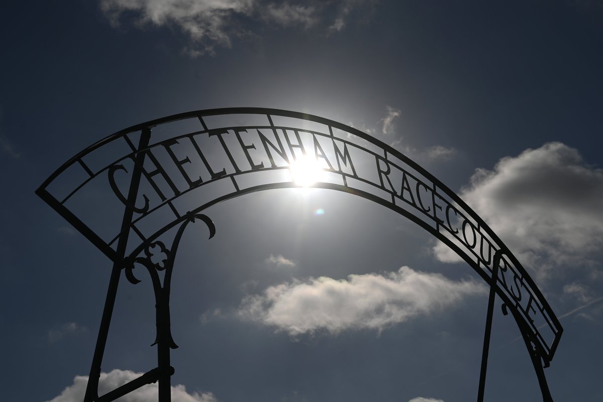 🐦Pigeon🐎Island🐦 tweet media