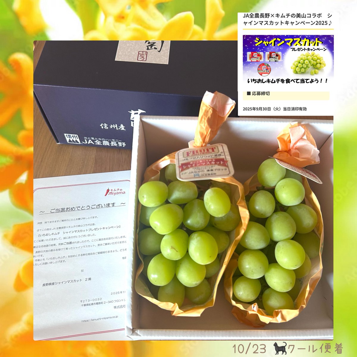 Kimu.kimuchi様 リクエスト 4点 まとめ商品 NM様 リクエスト 4点 まとめ商品 様 リクエスト 5点 まとめ商品