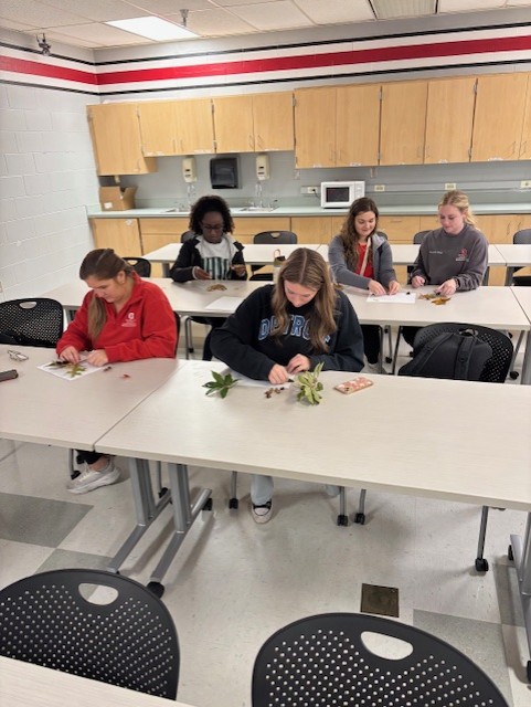 OhioStateOT tweet media