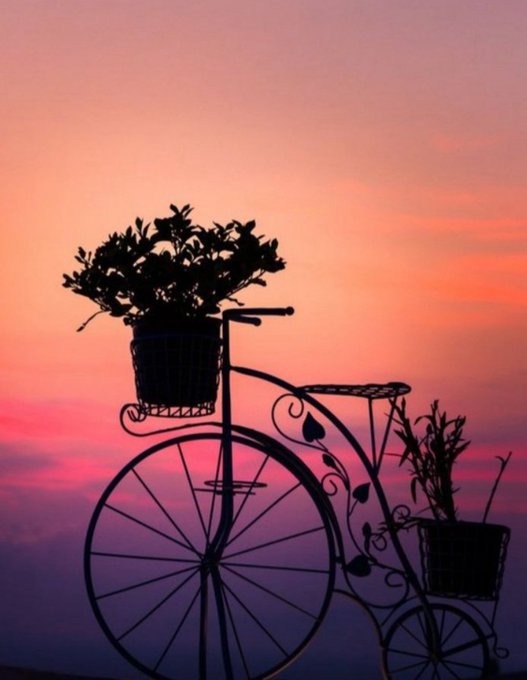 كن ضوءًا ولو في زاويةٍ صغيرة… فالعتمة لا تُهزم إلا بشرارة. 💫