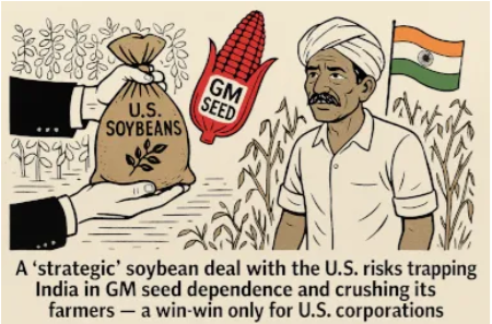 GMWatch's tweet image. Threat to Indian Farmers: A “strategic” soybean deal with the U.S. risks trapping India in #GMO seed dependence and crushing its farmers — a win-win only for Trump, US soy farmers, and US corporations, says @Sridhar67 sridharradhakrishnan67.substack.com/p/the-soy-mira…