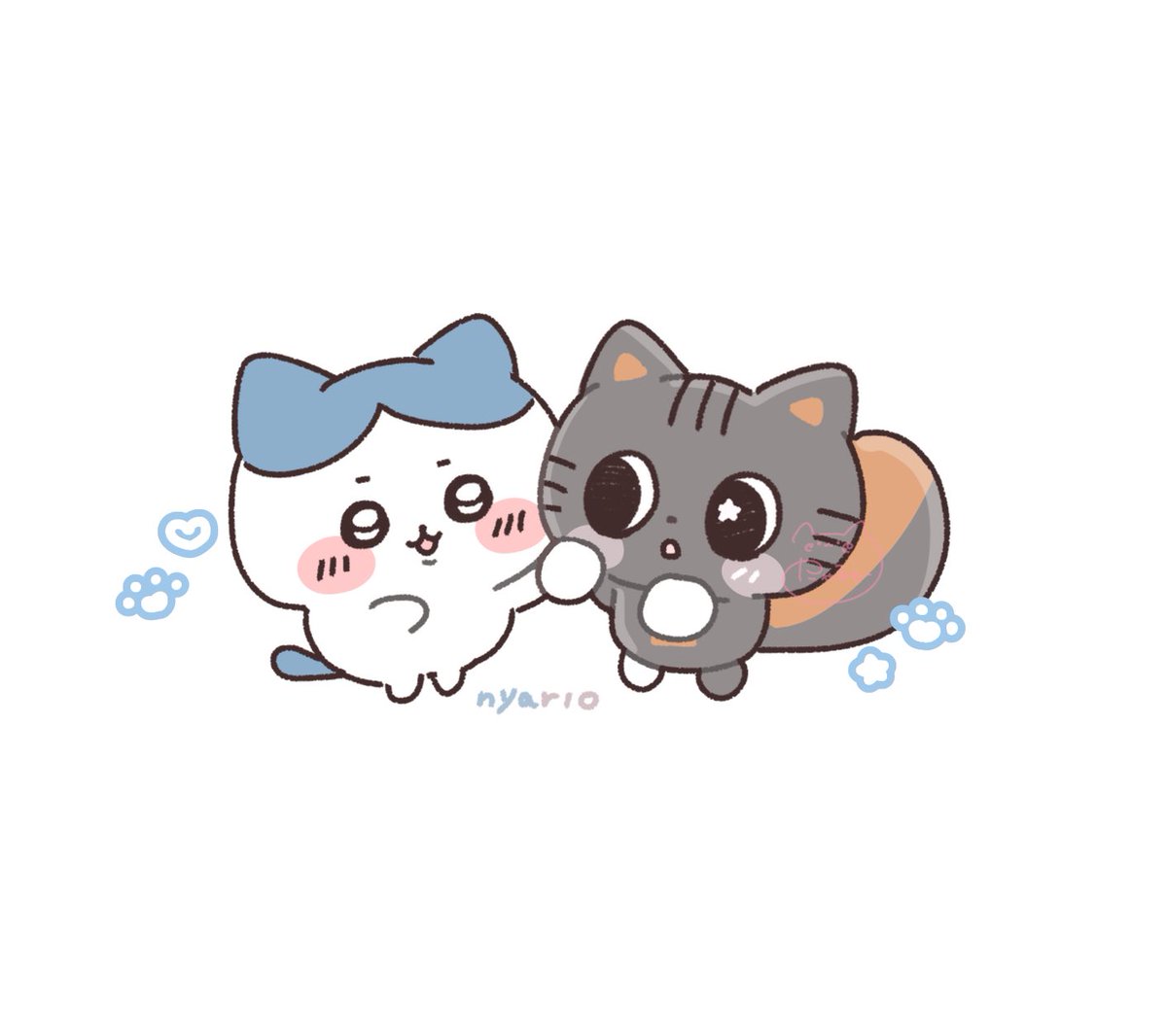 🐱💙