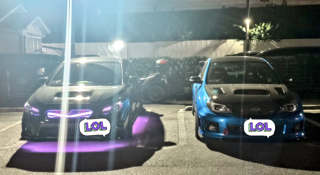 密です🐈‍⬛🐈‍⬛