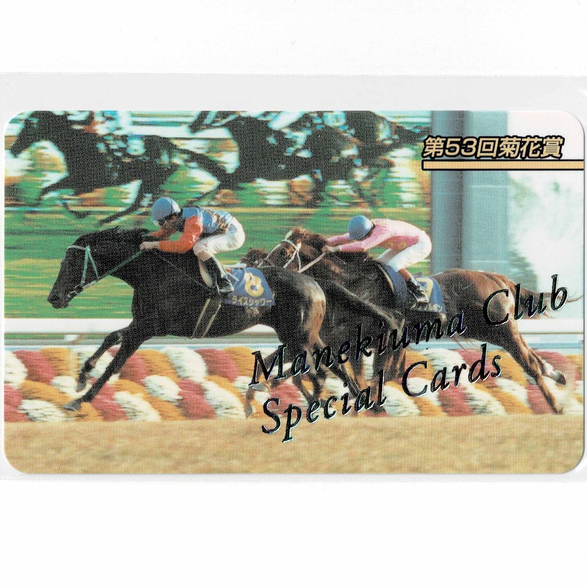 タマモクロス レインボーカード No.424 まねき馬 東ハト タマモクロス