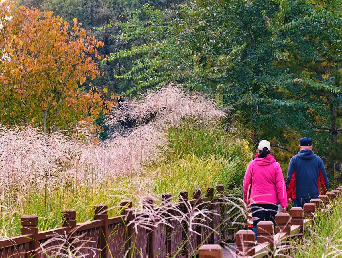 シム・シメール、【A Walk in the Woods Autumn 2】 Beijing Daily on X