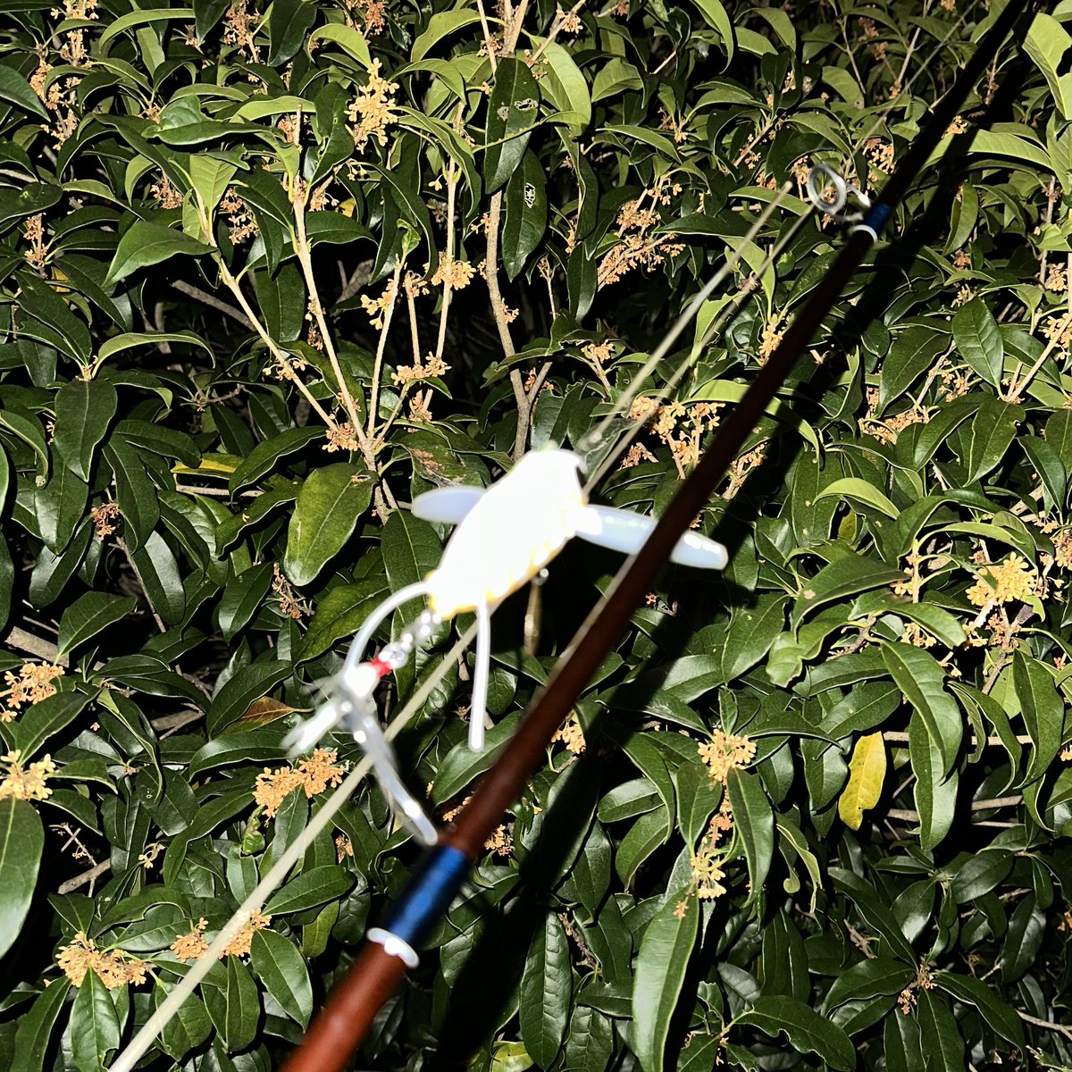 totokoページ nippper.com on X