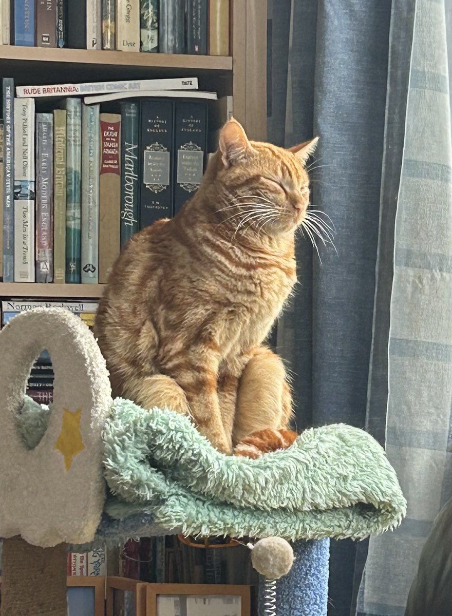 Waiting for the weather to change 😾. #orangejim