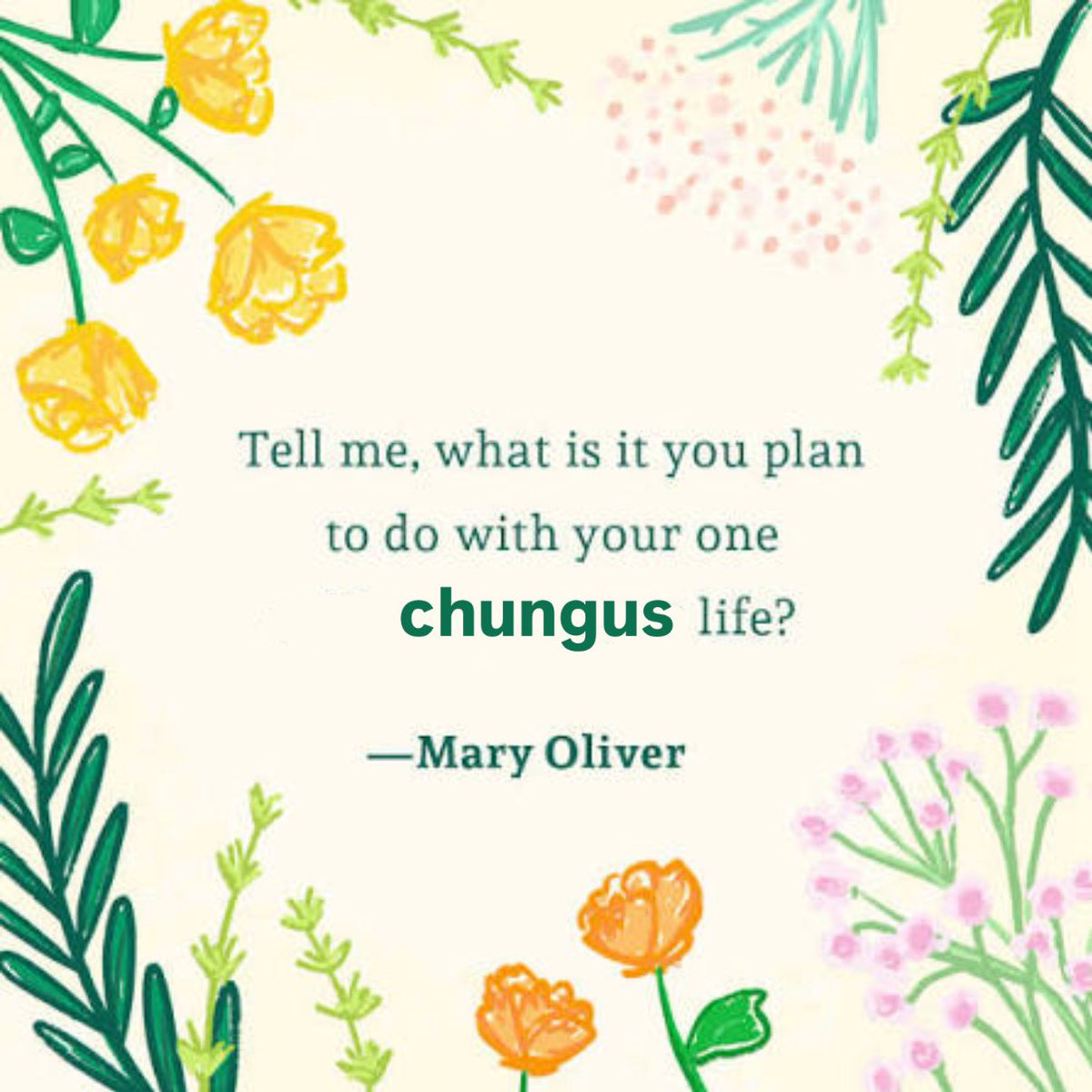 𝓶𝓲𝓼𝓼 𝓴𝓮𝓷𝔃𝓲𝓮 tweet media