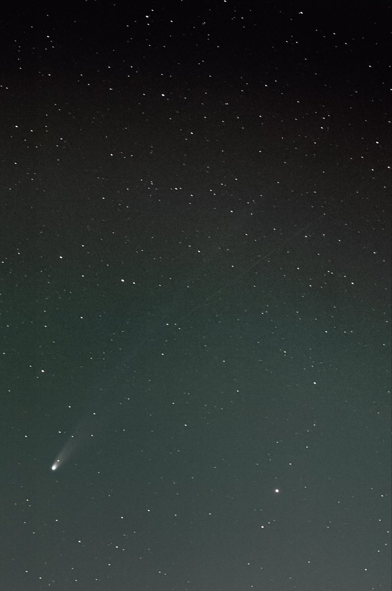 みーつけた
c/2025A6
今日の彗星