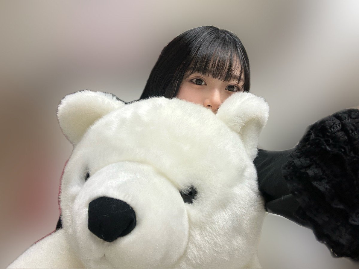 sakura_mmt_hyh's tweet image. 可愛いが沢山😊

#hinablog #稲熊ひな