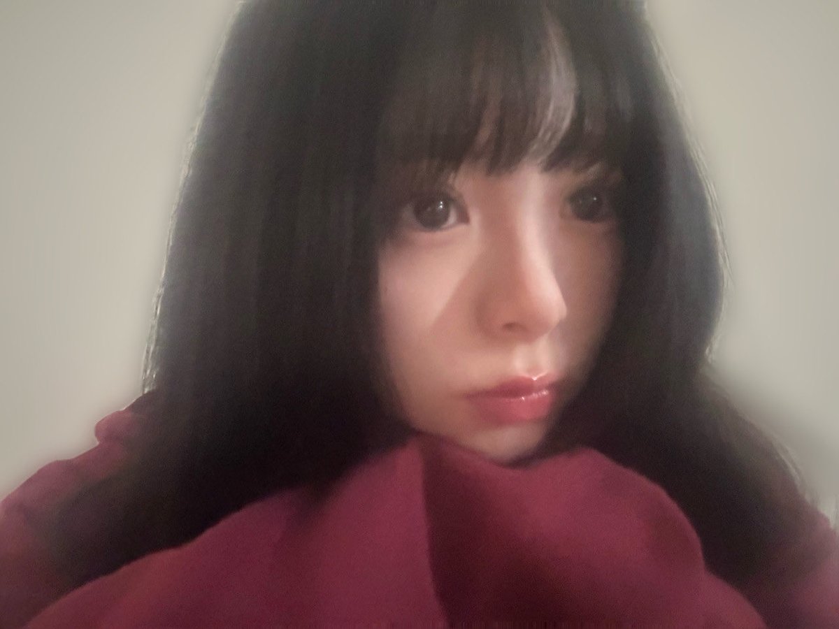 sakura_mmt_hyh's tweet image. 可愛いが沢山😊

#hinablog #稲熊ひな