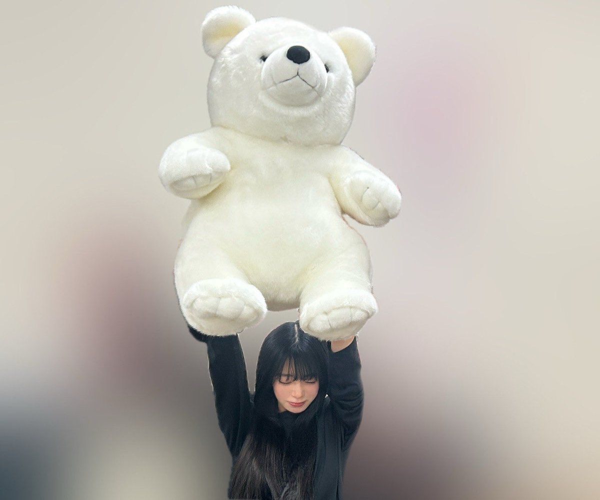 sakura_mmt_hyh's tweet image. 可愛いが沢山😊

#hinablog #稲熊ひな
