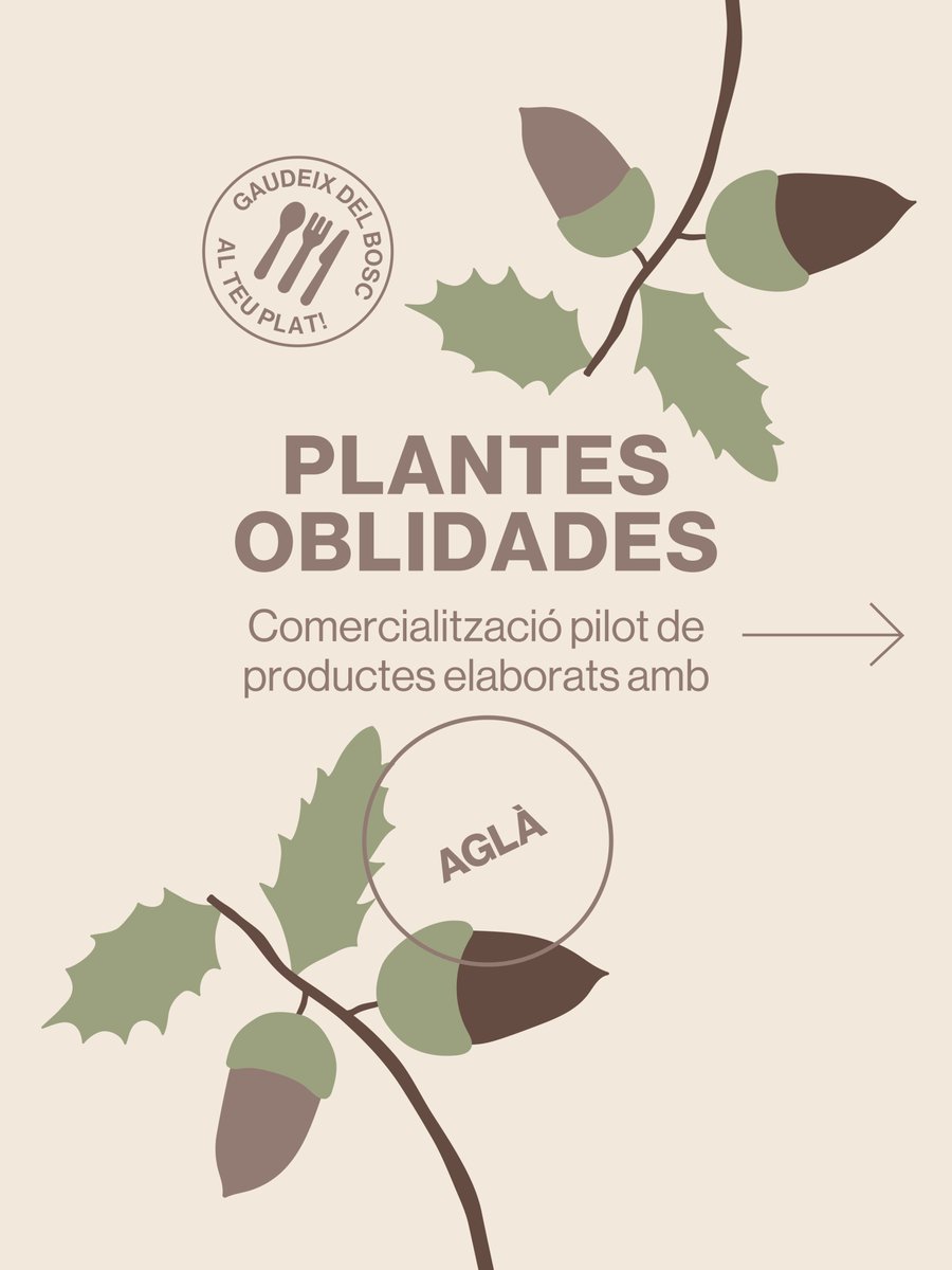eixarcolant's tweet image. 🌰 Us presentem els 11 productes gastronòmics de #PlantesOblidades elaborats amb aglà!

@FBiodiversidad #ProyectosPRTR #PlanDeRecuperación #NextGenerationEU