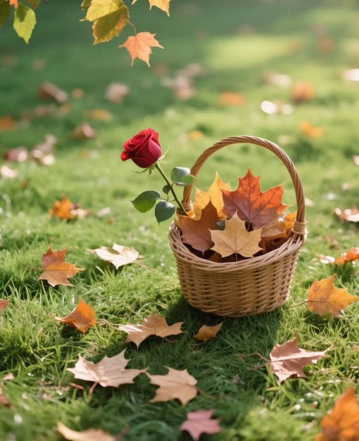 장애물이
날 가로막는게 아니라

내 생각이
날 가로막고

현실이
날 괴롭히는게 아니라

내 마음이
날 괴롭게 하고

운명이
날 힘들게 하는게 아니라

내 의식이
날 힘들게 하고 있습니다

모든건
내가 원인일 때가 많습니다

-털어봐 아프지않은사람있나-