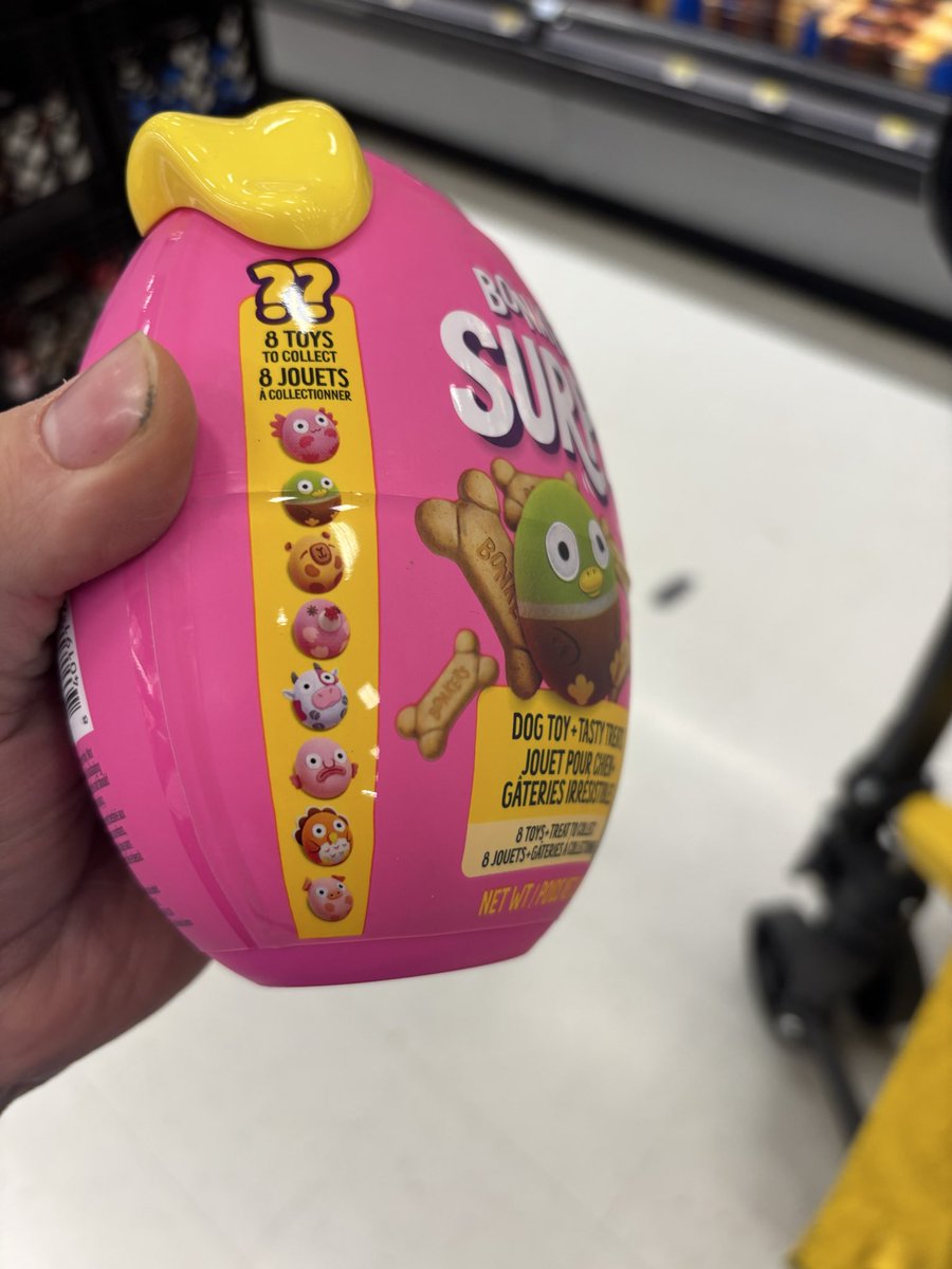 So uhm the Mystery box Webkinz has for your pet is real?!