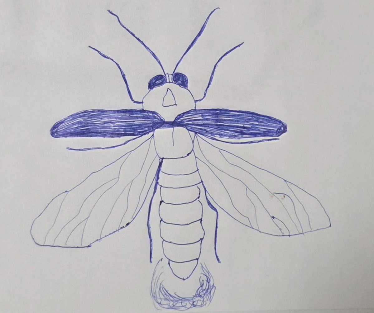 Day 23 - Firefly #Inktober2025